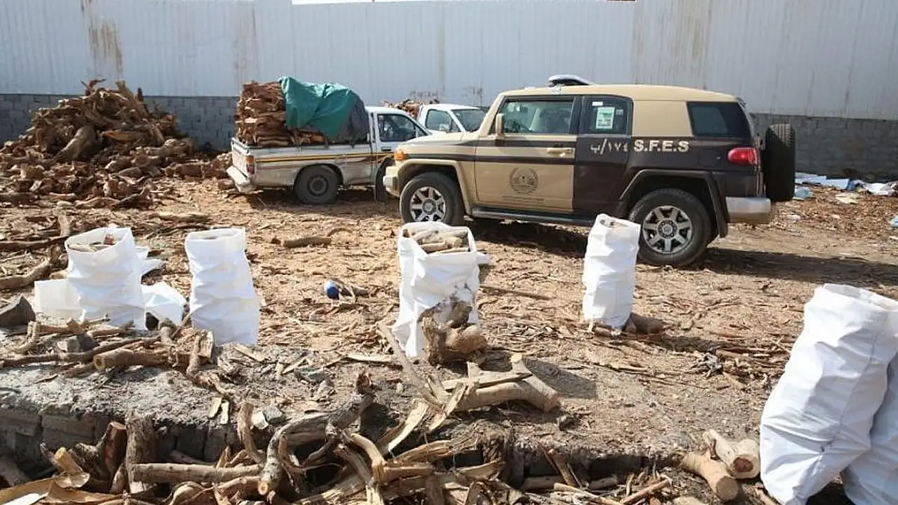 ضبط مواطن يخزن كميات ضخمة من الحطب المحلي بالمدينة المنورة بغرض بيعه